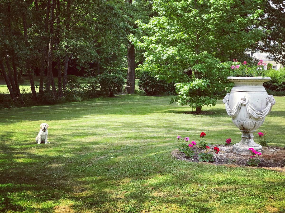 Chambre D'Hote Manoir De Clairbois Larcay エクステリア 写真